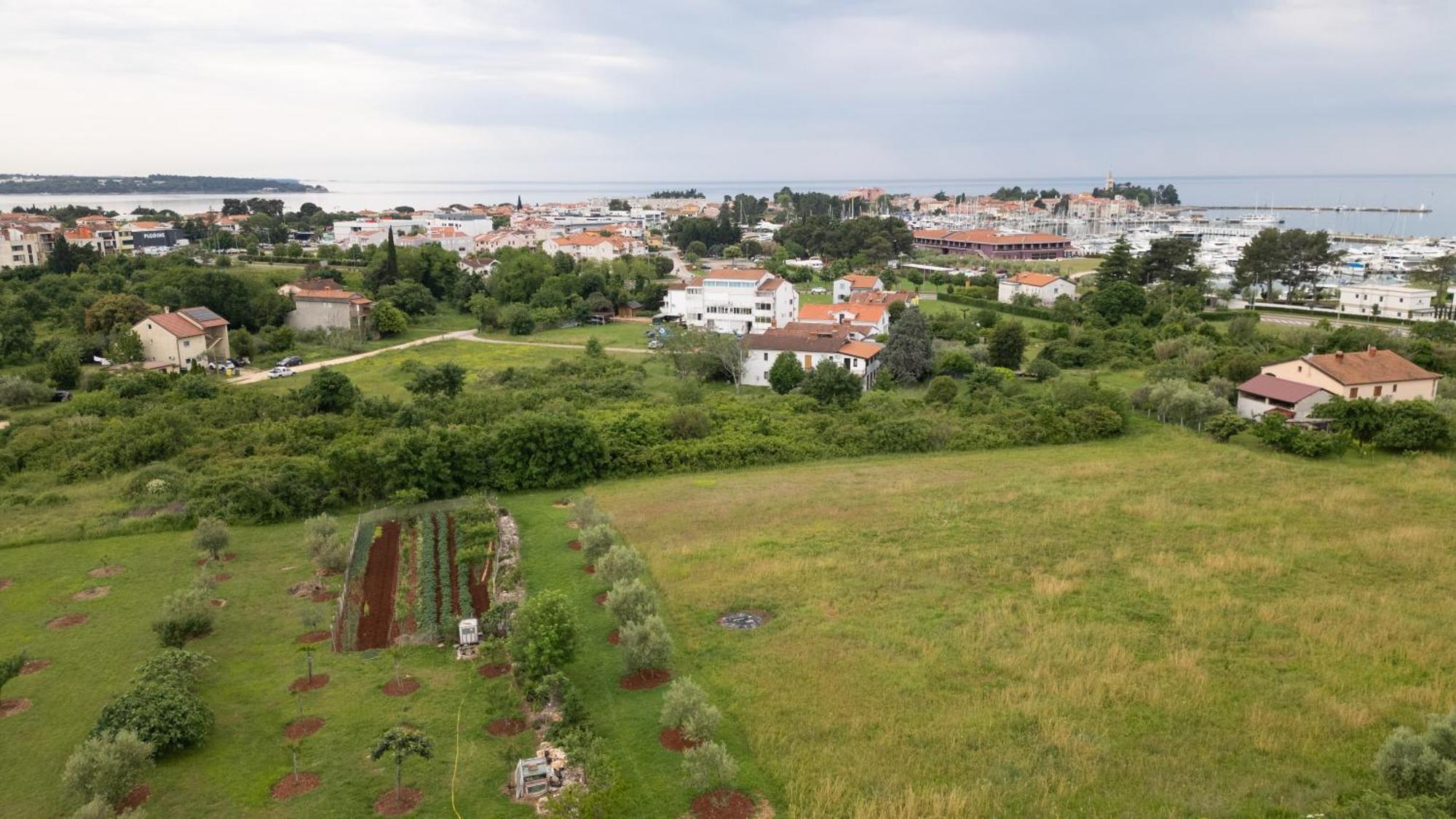 Apartments Mirella Novigrad Istria Esterno foto