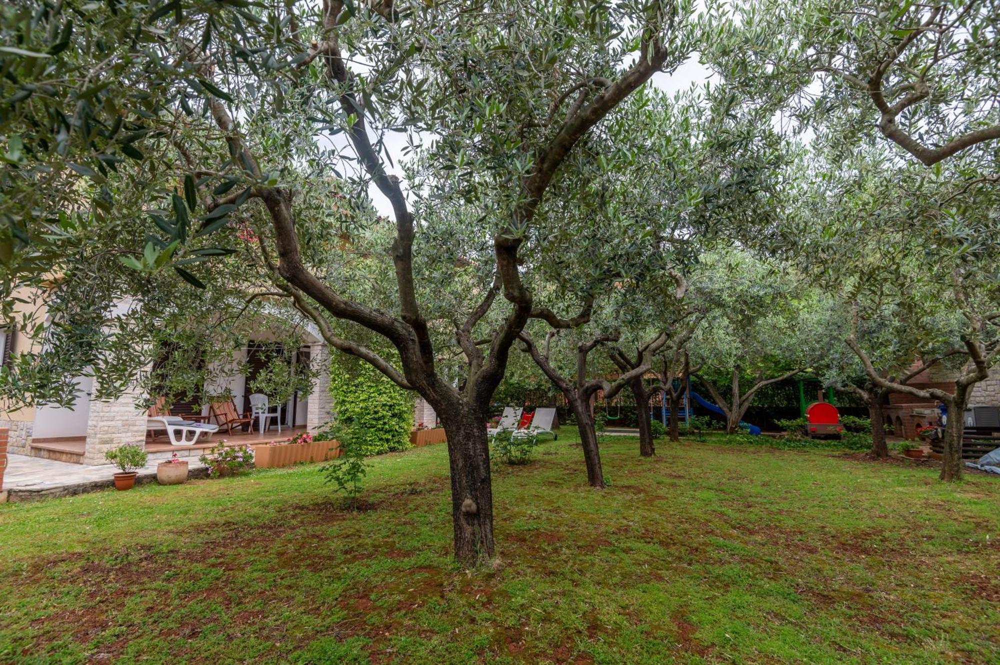 Apartments Mirella Novigrad Istria Esterno foto